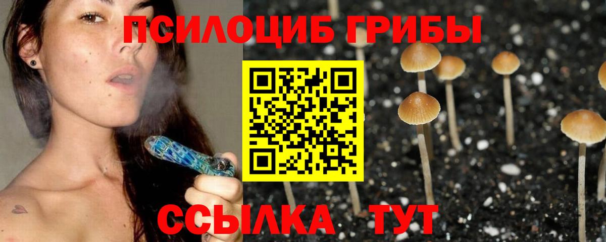 продажа наркотиков  Вход с VPN  Кохма  Псилоцибиновые грибы Magic Shrooms 