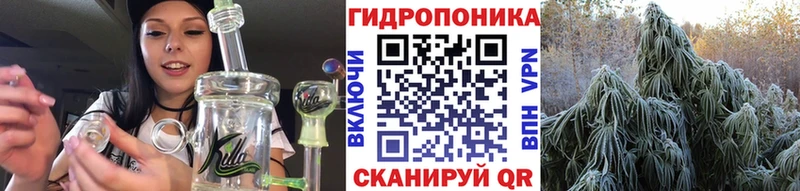 KRAKEN как войти Кохма Шишки марихуана марихуана